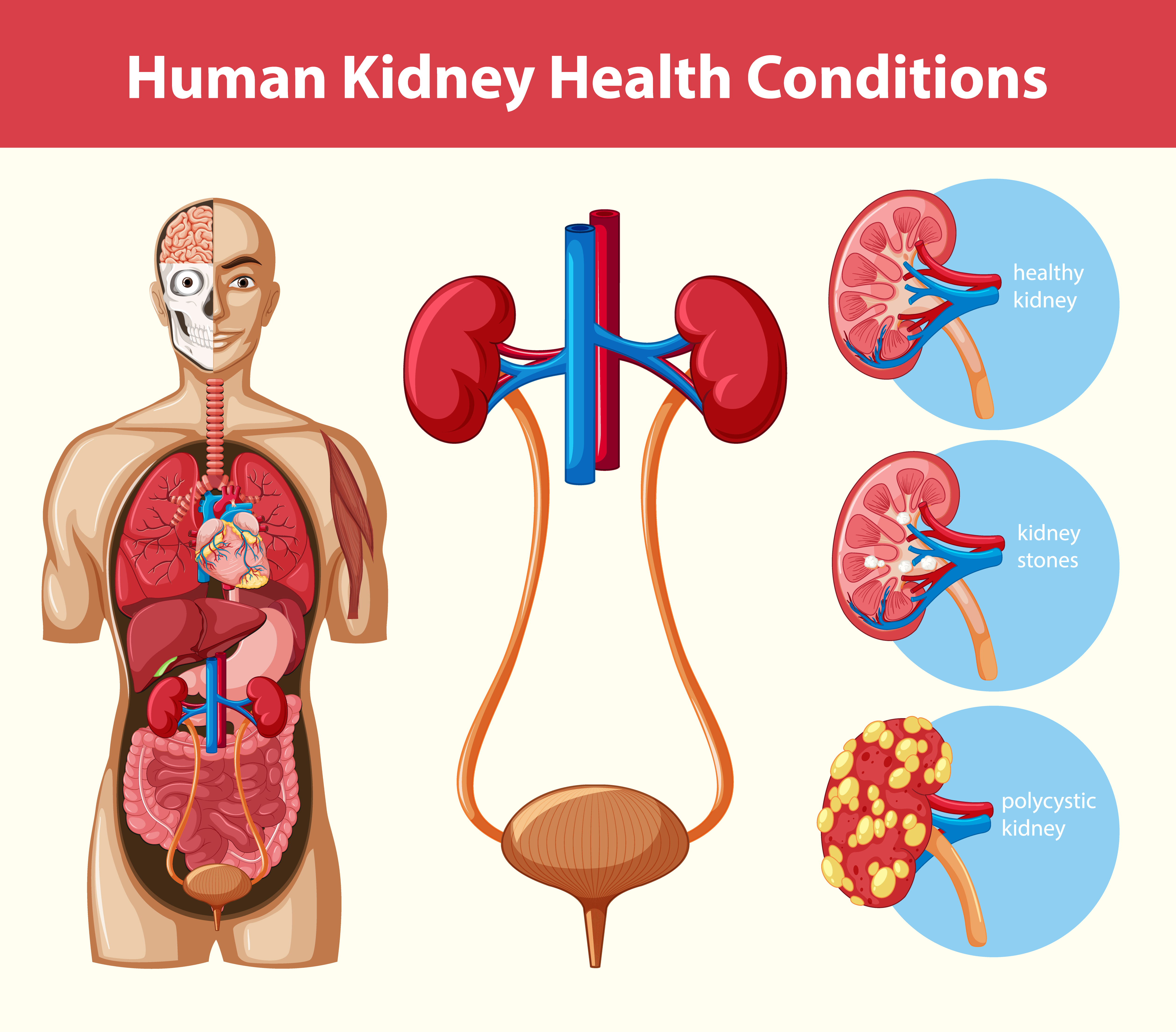 Nephrology Care (Kidney Care) at Nakshtra Clinic